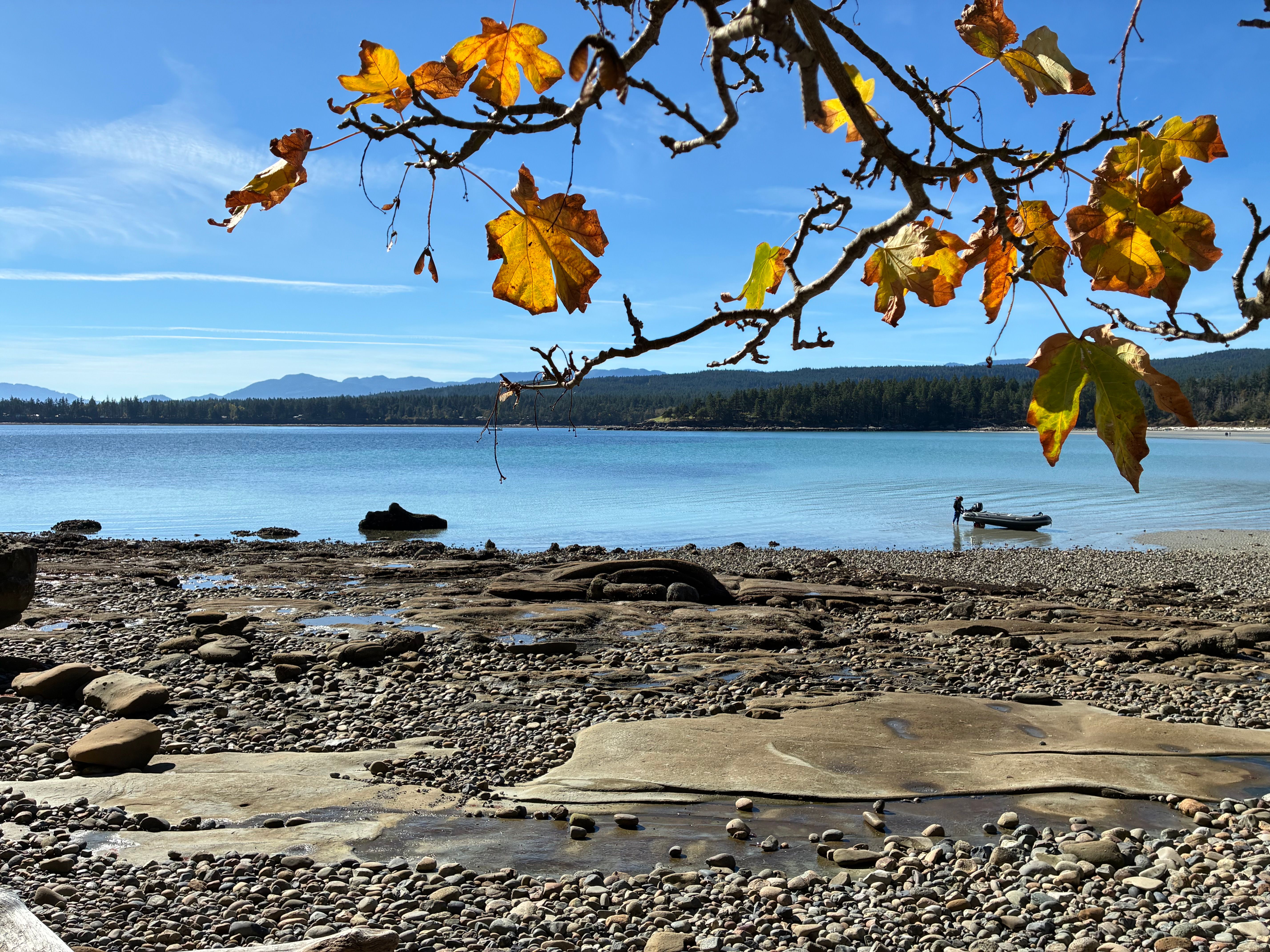 Terapie úzkosti, nespavosti a stresu – Vendula Netušilová